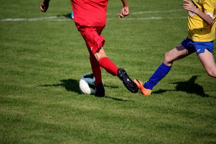 乐鱼官网优惠-世界马拉松大满贯赛事上海站开跑，世界马拉松大满贯赛事上海站开跑时间