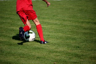 乐鱼体育官网下载-中国篮球教练员职业发展规划及培训体系，篮球教练员职业生涯规划